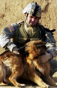 U.S. Military K9 us military k9