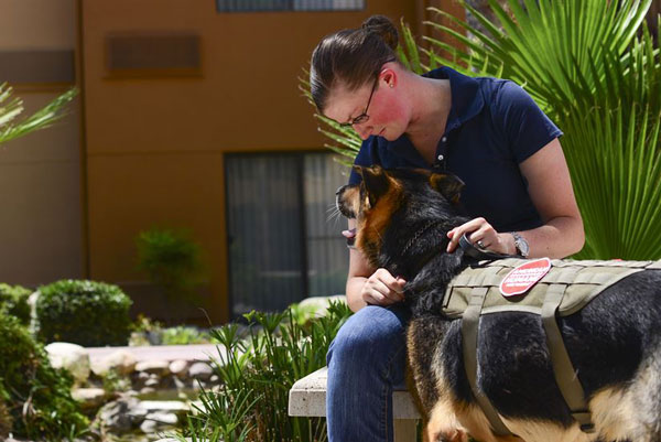 Adoption Reunites Airman With Military Working Dog